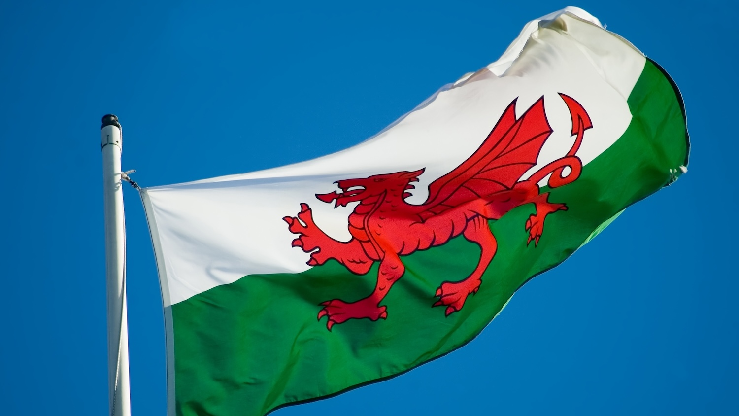Photo of the Welsh flag Image: 2119836 © Mary Lane | Dreamstime.com